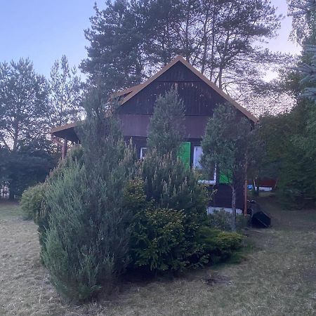 Dom Pod Sosnami Villa Rzewnie Buitenkant foto