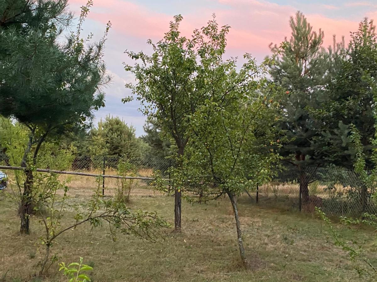 Dom Pod Sosnami Villa Rzewnie Buitenkant foto